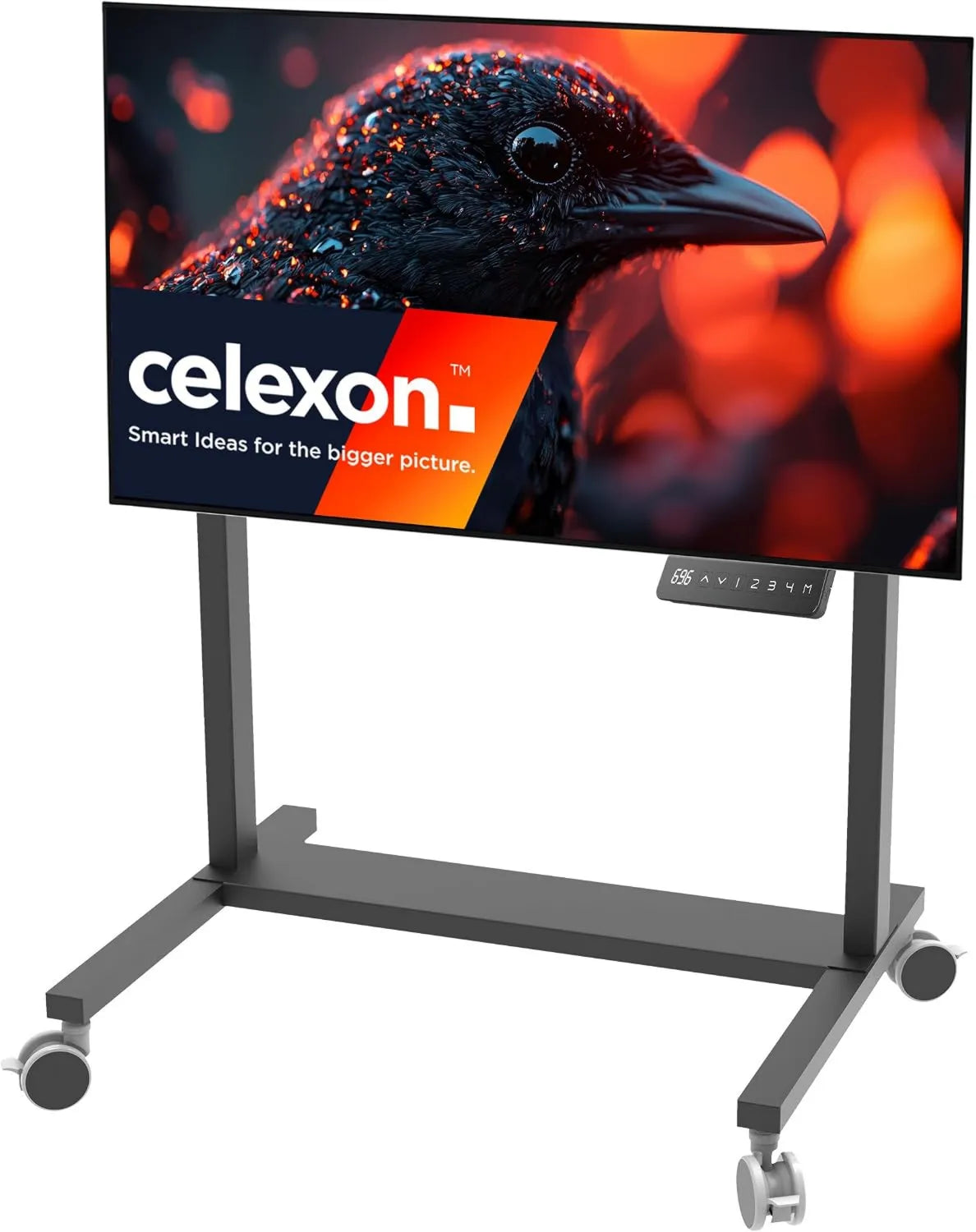 celexon uchwyt ścienny, Produkt 42- 100 'czarny, Pro ekran wózka, 65 cm regulacja elektryczna, Cztery wysokości przechowywane, LED wyświetlacz i port USB szybko umieścić